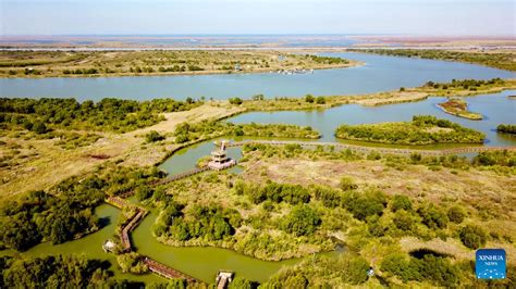  Dongying Yellow River Delta National Nature Reserve: Ylävirran luonnon ihmeet ja uskomaton lajisto!