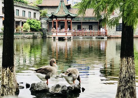  Keyuan Garden: Yksi Dongguanin helmistä täynnä historiallista arkkitehtuuria!