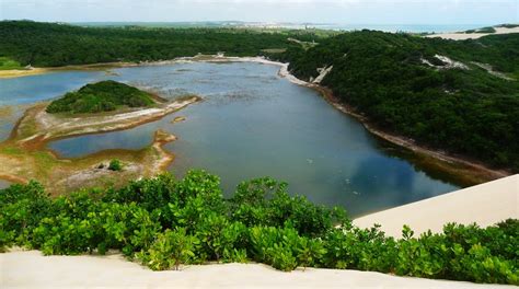  Parque das Dunas: Hiekkaisten kukkuloiden hurja seikkailu ja merituulien suloinen laulu!